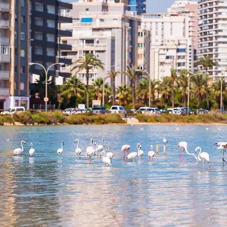 Augusta 2 A Appartamento Calpe